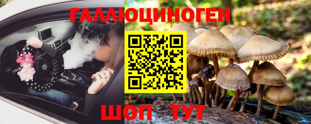 Псилоцибиновые грибы мицелий  купить наркотик  Борзя  Вход с VPN 